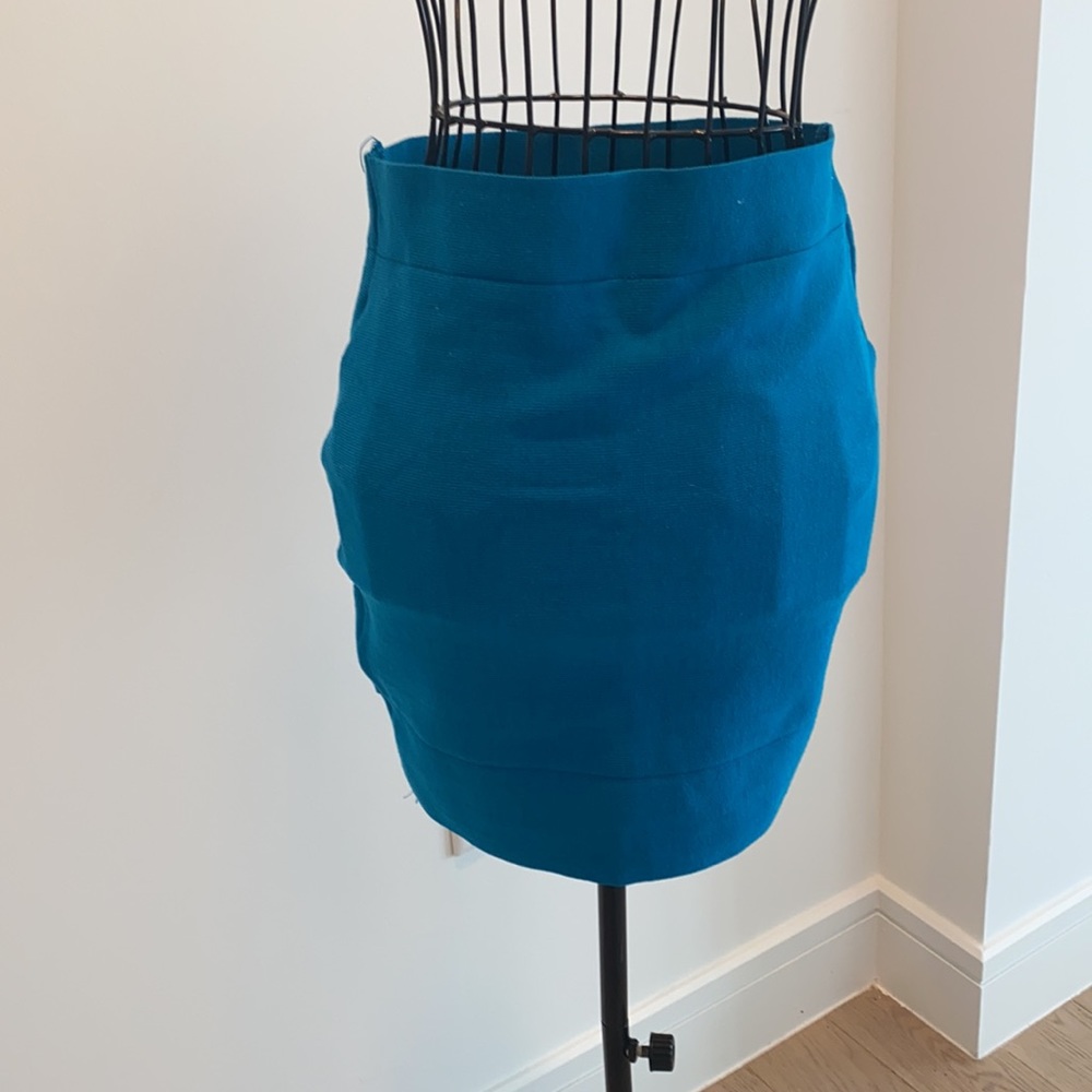 Mini Skirt - Picture 3 of 3